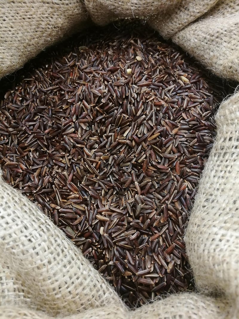 Vegetarian Gastronomy